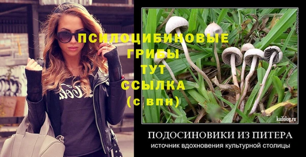 ПСИЛОЦИБИНОВЫЕ ГРИБЫ Козловка