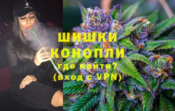 ПСИЛОЦИБИНОВЫЕ ГРИБЫ Козловка