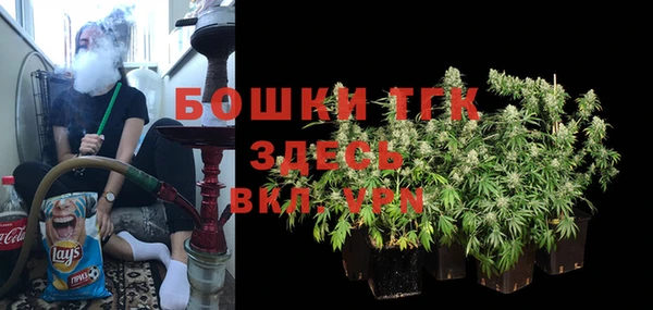 СК Кодинск