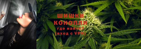 ПСИЛОЦИБИНОВЫЕ ГРИБЫ Козловка