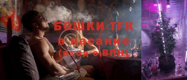 ПСИЛОЦИБИНОВЫЕ ГРИБЫ Козловка